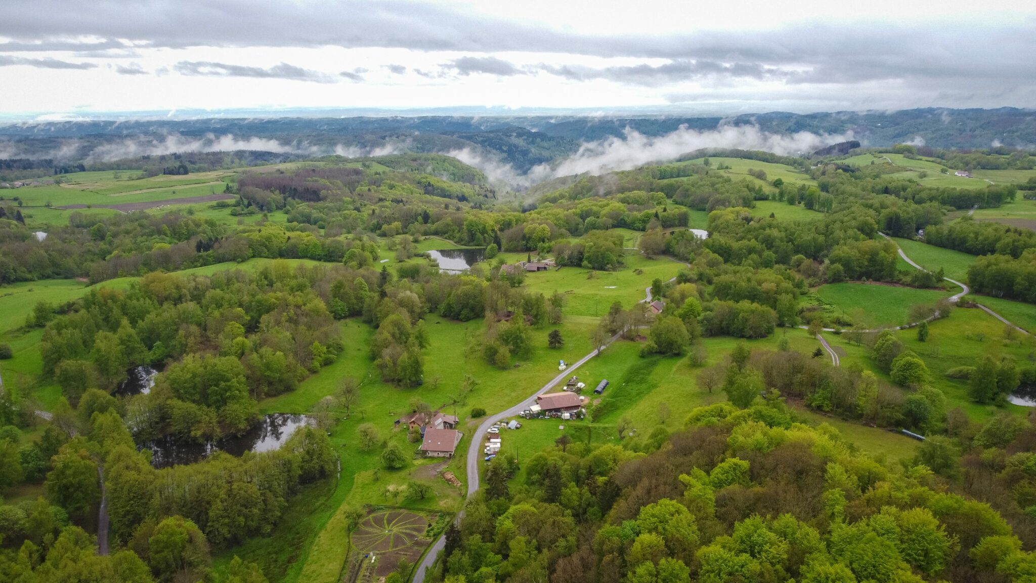 Sentier en forêt vers le Ballon de Servance
