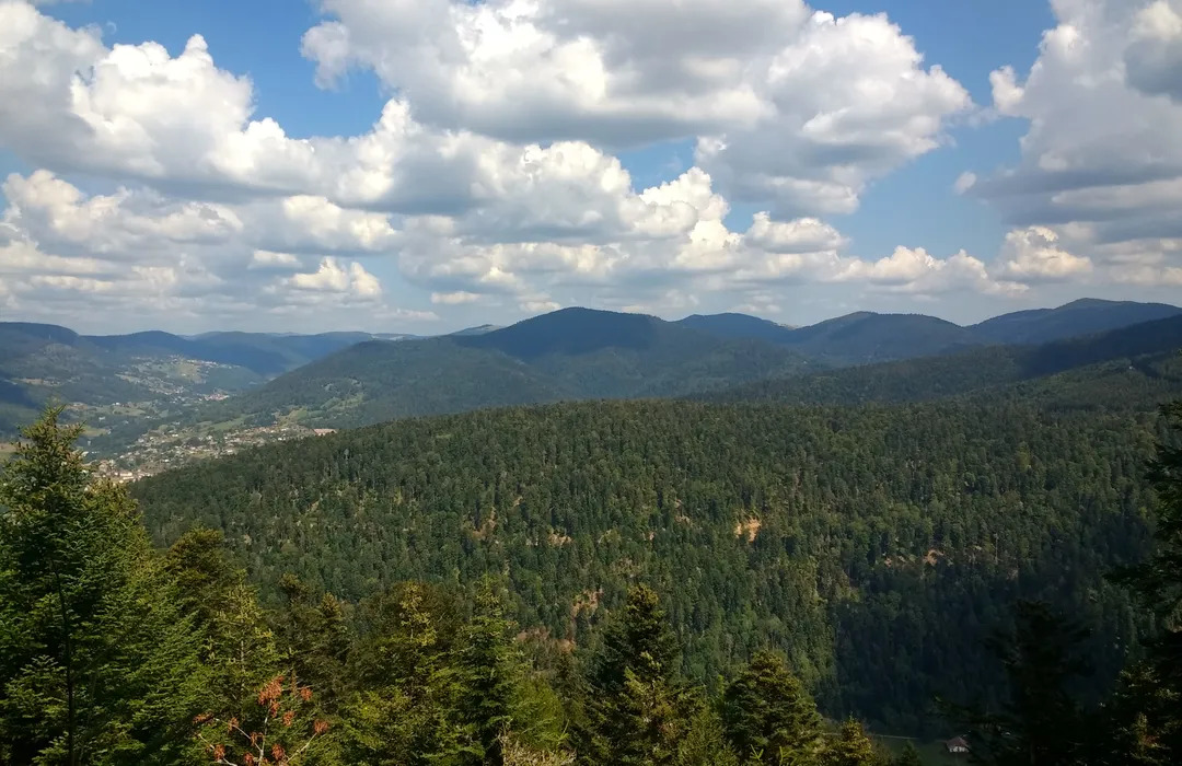 Extérieur de la maison de location saisonnière à Servance